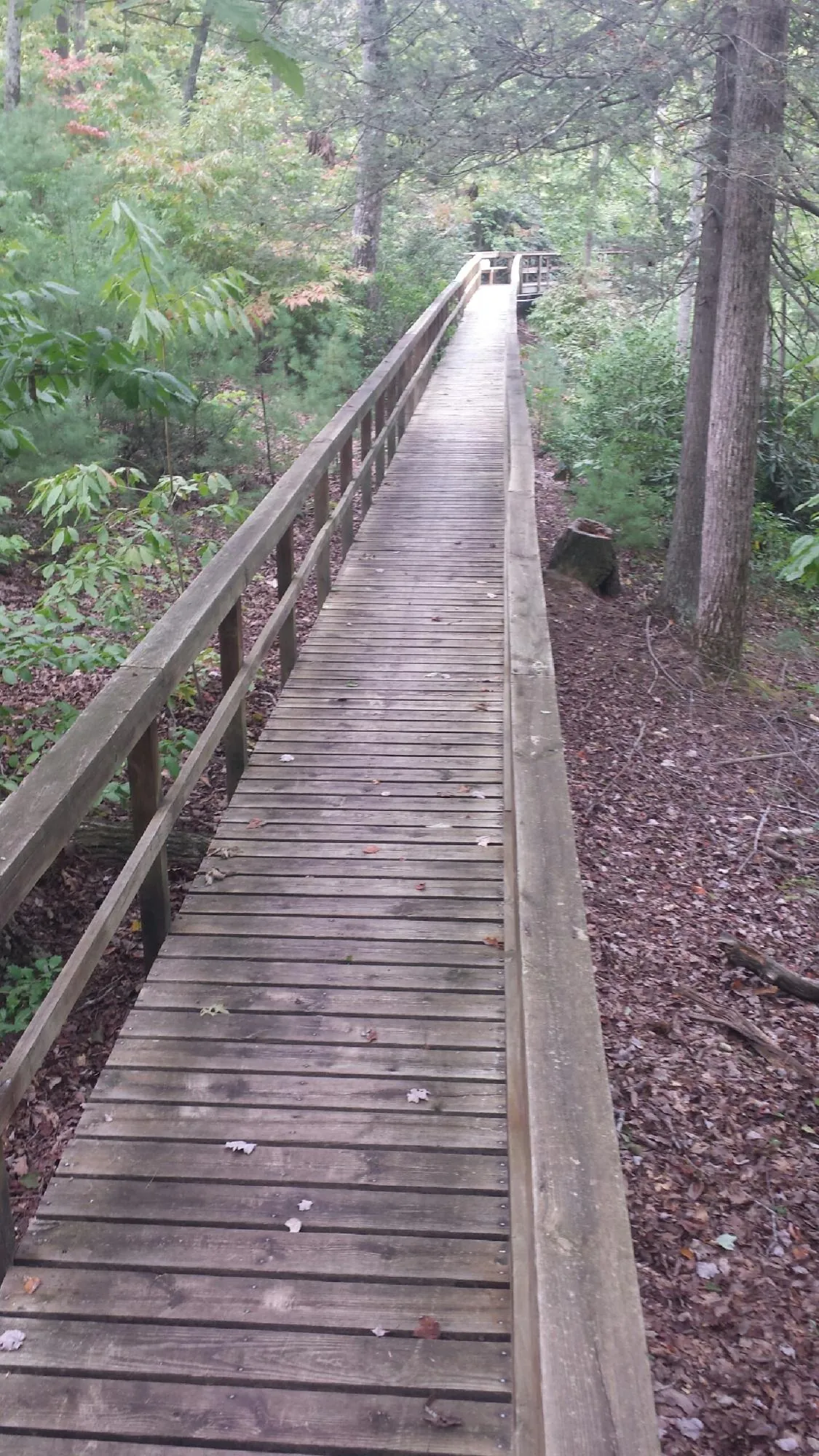 Long wood walkway with handrails built through the woods in Eagle Mountain